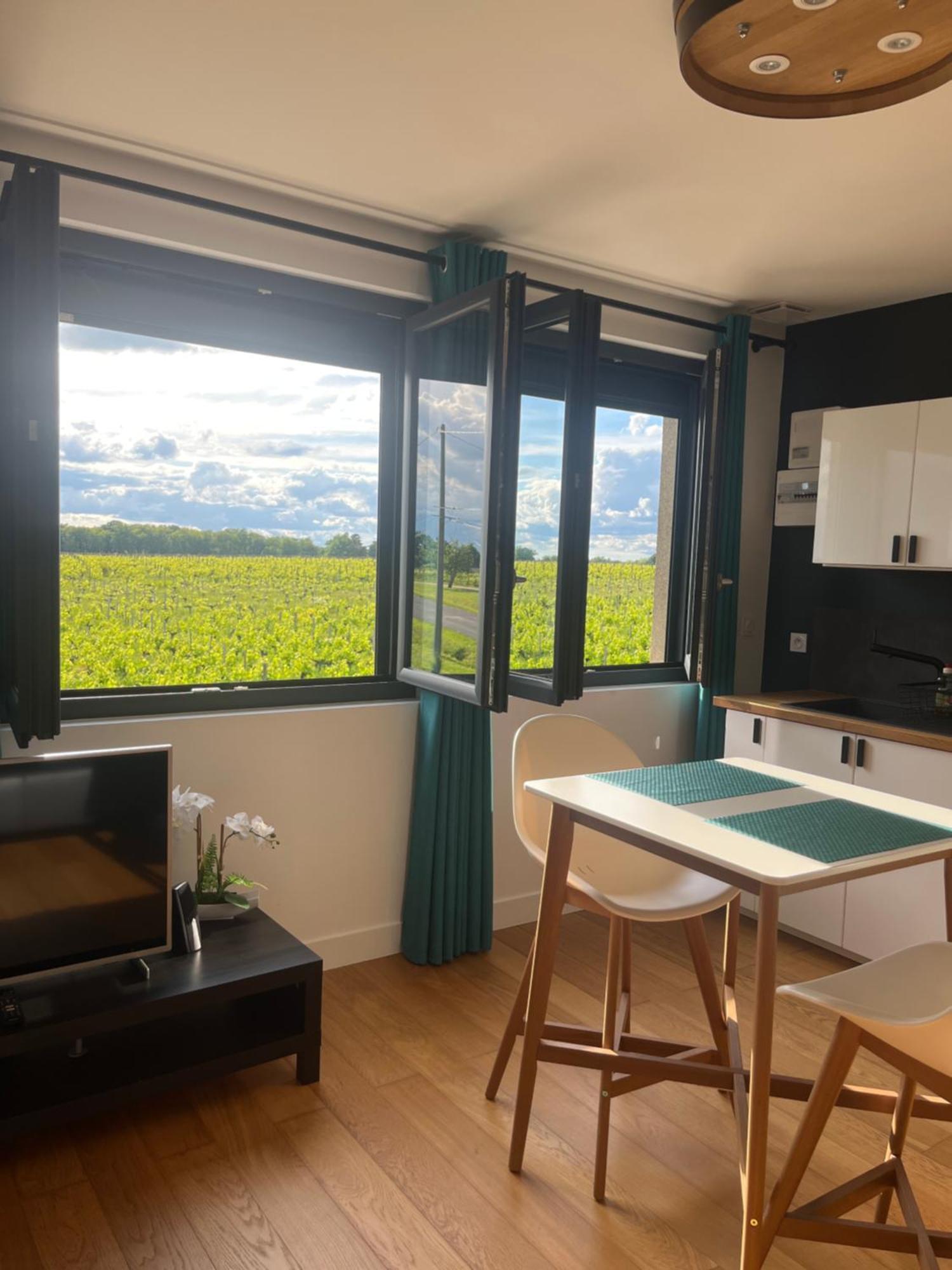 Appartement 2 Chateau La Rose Des Vents Puisseguin Екстер'єр фото